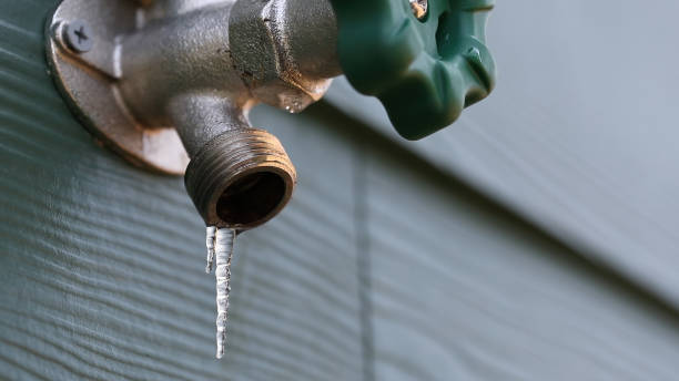 Best Drain Cleaning Services  in West Rson, CA